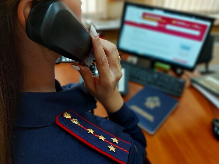 Калининградский следком изучит тему покупки янтарных панелей в ресторане депутата
