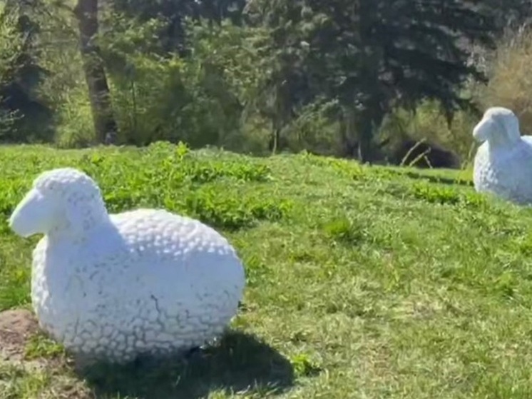 В Нальчике озеленили Курортный сквер