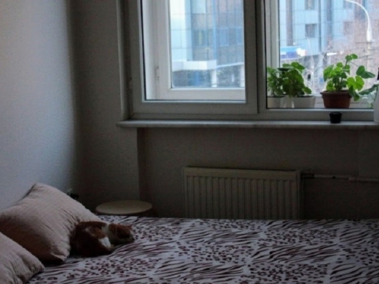 Ученые назвали лучшее время для здорового сна