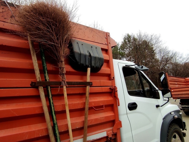 Волонтеры вывезли 8 КамАЗов валежника из Русского леса