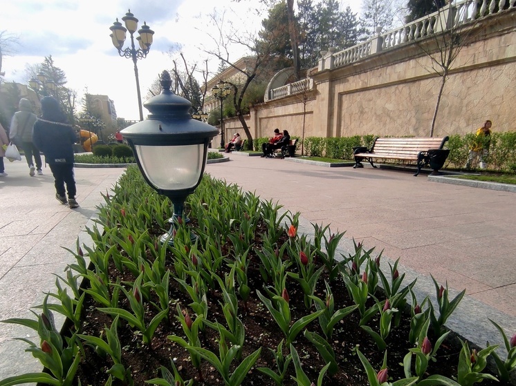 В Кисловодске определили объекты благоустройства по программе формирования комфортной городской среды