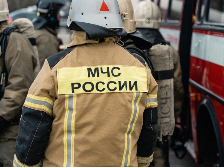 Женщина пострадала при пожаре в Скопине Рязанской области
