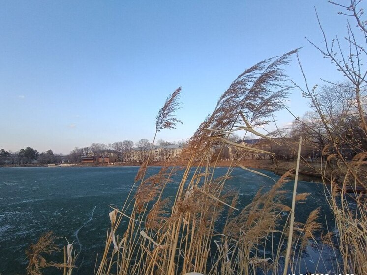 В Хабаровске воздух днем 21 апреля прогреется до +17 градусов