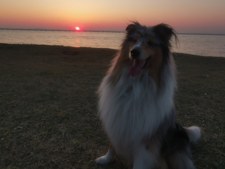 Стало известно, какая погода ожидает Приморье в понедельник, 21 апреля