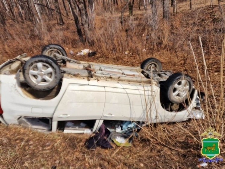Два пассажира пострадали в ДТП на трассе Биробиджан – Унгун – Ленинское