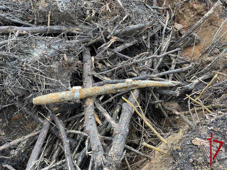 В Еврейской автономии на месте будущего газопровода найден снаряд