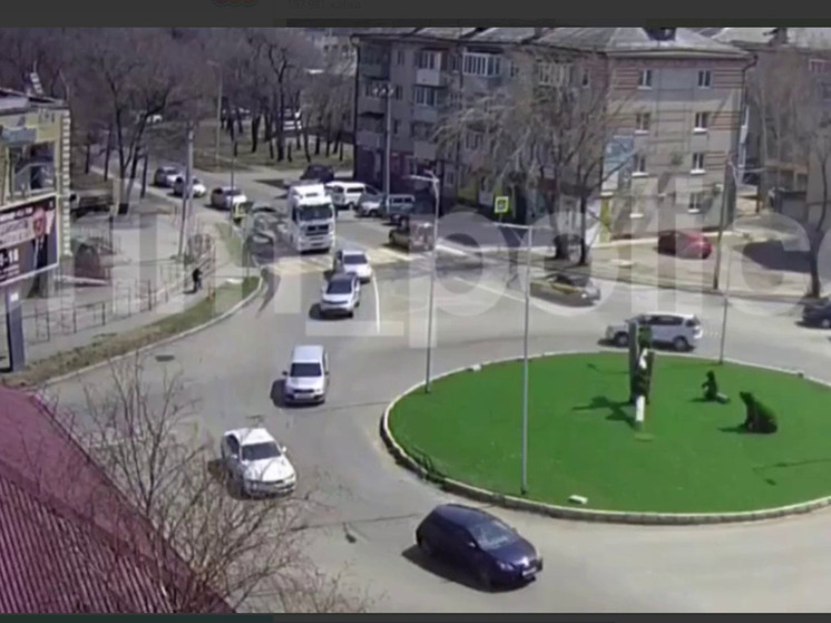 Опубликованы подробности страшного ДТП в Уссурийске: фура насмерть задавила ребенка