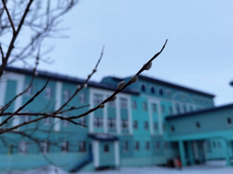 В понедельник в регионе будет облачно, возможен небольшой снег