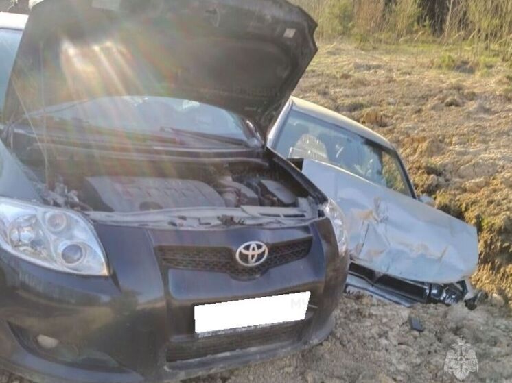 Несколько человек пострадали в ДТП под Боровском