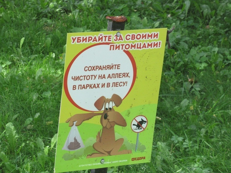 В Свердловской области запретили выгул собак на детских и спортивных площадках