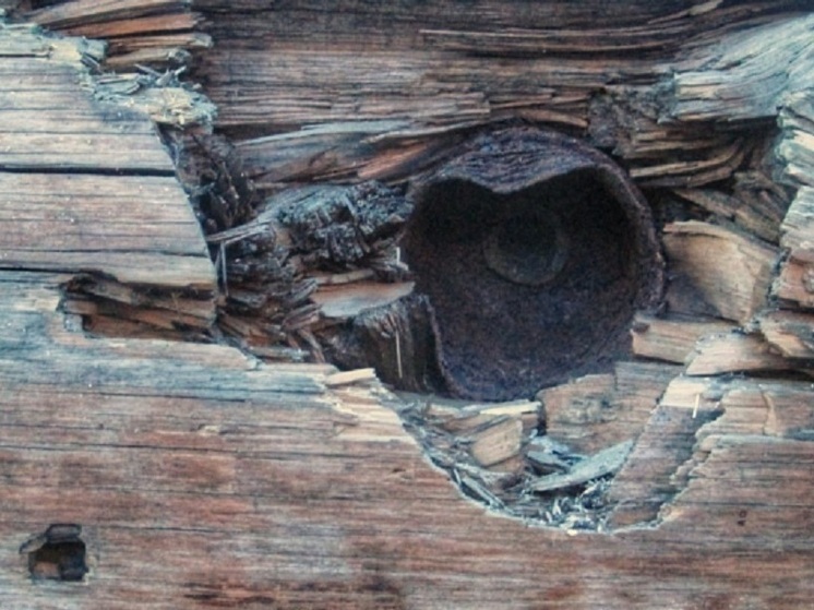 В карельской часовне обнаружили фрагмент снаряда с Первой мировой войны