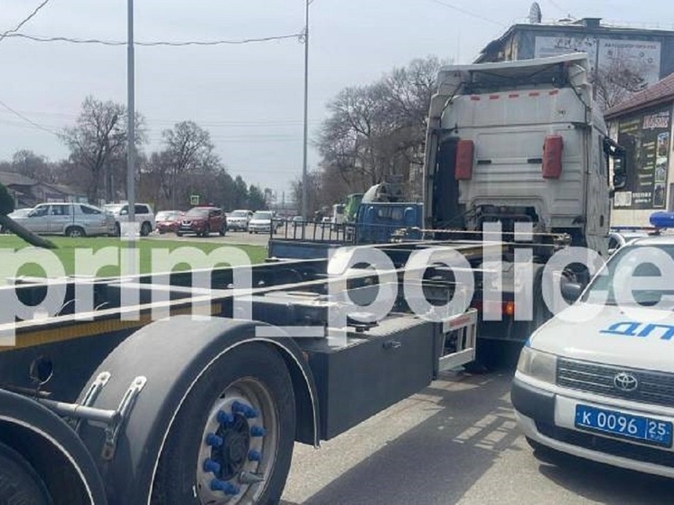 Водителю фуры, насмерть сбившему школьника в Уссурийске, грозит до пяти лет колонии