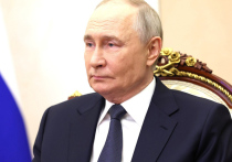 Владимир Зеленский, временно исполняющий обязанности главы киевского режима, оказался в политической западне: выбраться из неё без потерь он уже не может