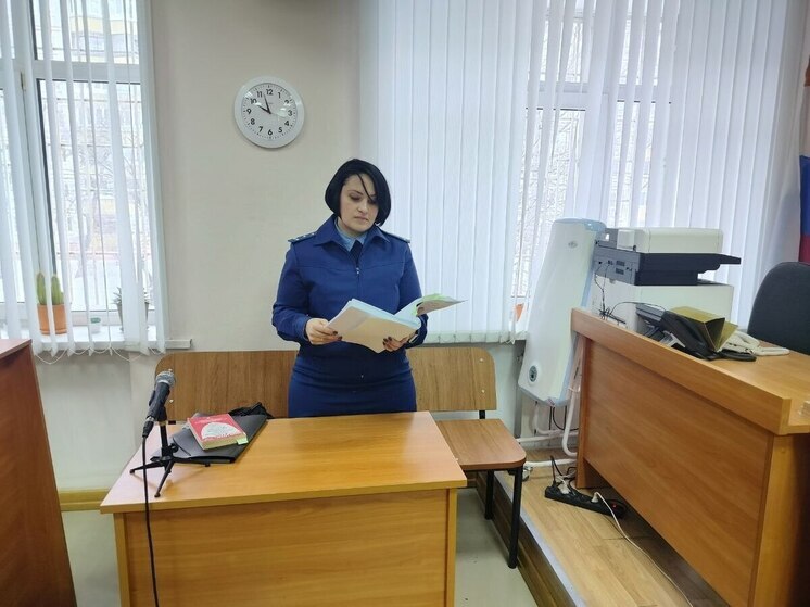 В Туле 20-летняя закладчица мефедрона приговорена к 9 годам колонии
