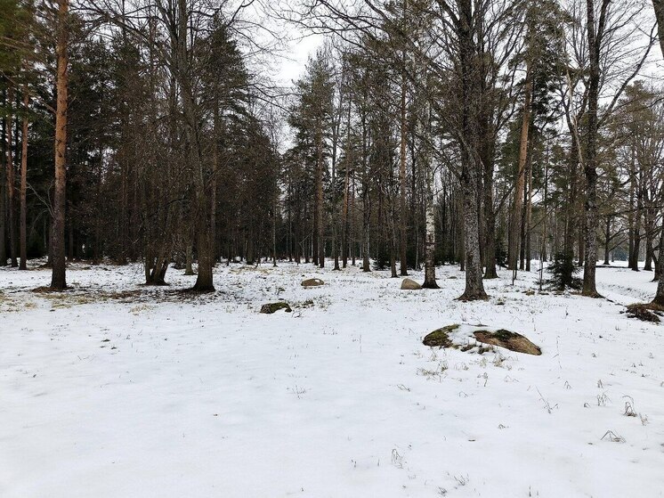 Двух охотников-браконьеров поймали в Амурской области с поличным
