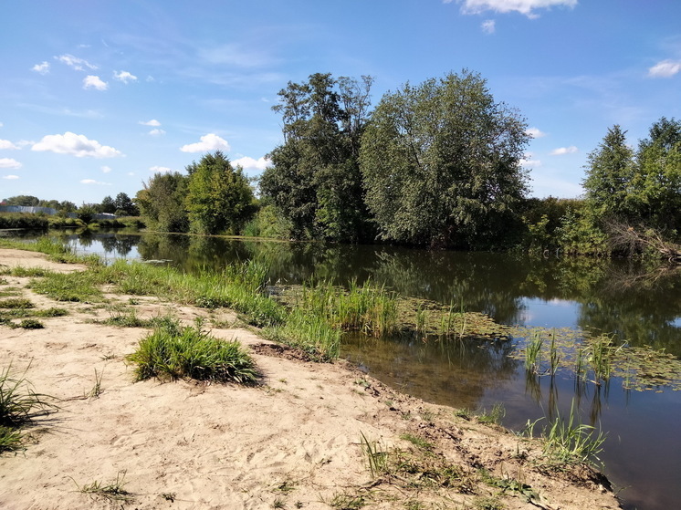 164 миллиона рублей будет вложено в защиту русла Малой Кокшаги в Марий Эл