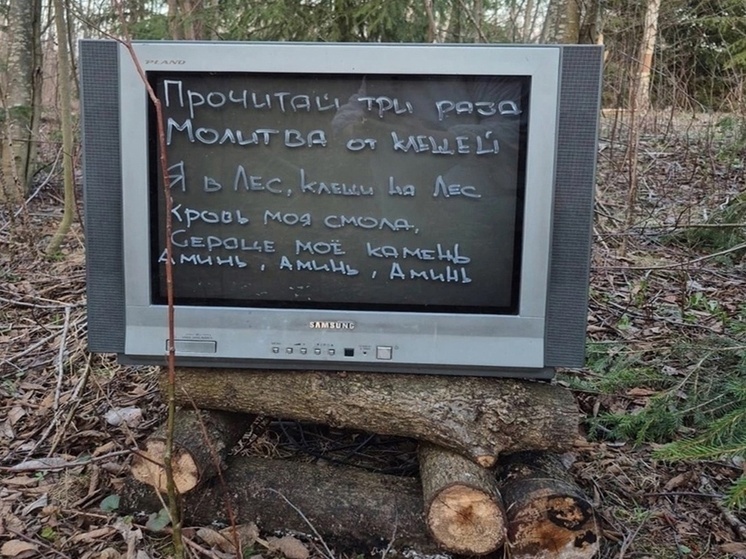 В Плесе решили бороться с клещами нетрадиционно – с помощью молитвы