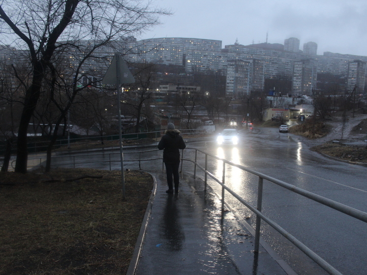 Штормовое предупреждение объявлено во Владивостоке: дождь и сильный ветер до 26 м/с