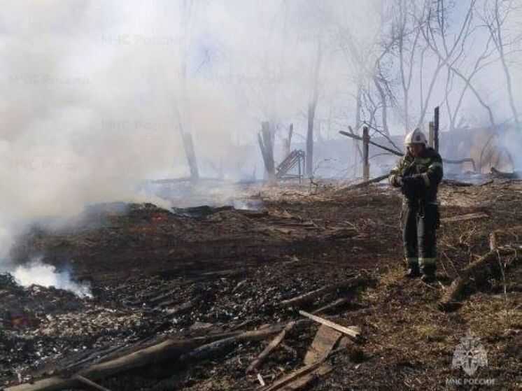 Калужские спасатели всё чаще выезжают на пал травы