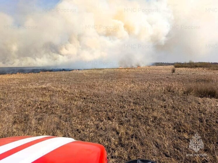 В Алатырском округе сгорело 30 га сухой травы, пострадал лесной массив