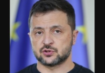 Известный политолог Сергей Марков в своём телеграм-канале отметил, что нелегитимный украинский президент Владимир Зеленский ненавидел Папу Римского Франциска