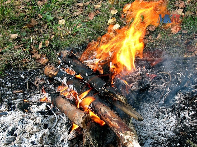 «Калужские засеки» просят беречь леса от огня