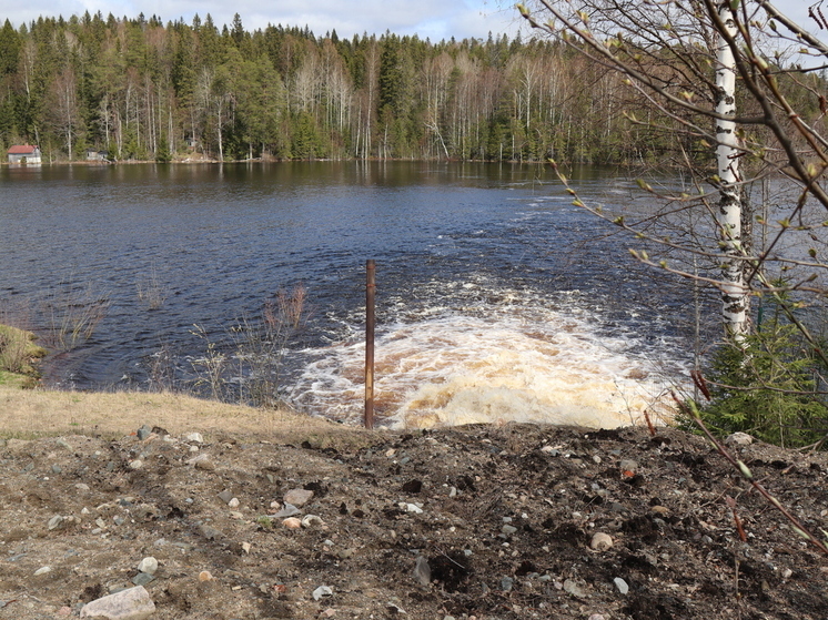 Эксперты оценили угрозу наводнения для Петрозаводска