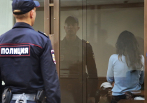 Адвокат Михаила Хачатуряна, признанного посмертно виновным в сексуальном преследовании убивших его дочерей, заявил, что ни один из эпизодов, которые инкриминировали Хачатуряну, не был доказан в судебном заседании