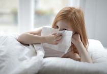 За неделю с 14 по 20 апреля в Марий Эл зарегистрировано 3304 случая гриппа и острых респираторных вирусных инфекций. 