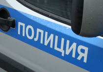 Стали известны подробности избиения семиклассницы, которую одноклассники обвинили в краже сигареты, в школе на северо-востоке столицы
