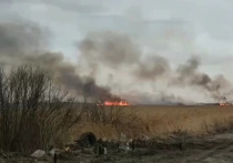 21 апреля в Бурятии зафиксировано 11 лесных пожаров в Еравнинском, Кижингинском и Кяхтинском районах — на общей площади 1486 гектаров