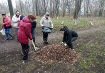 Мероприятие по благоустройству пройдет 29 апреля