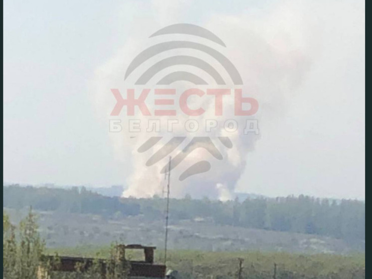 Поднялся столб дыма: в Белгородском районе загорелась сухая трава