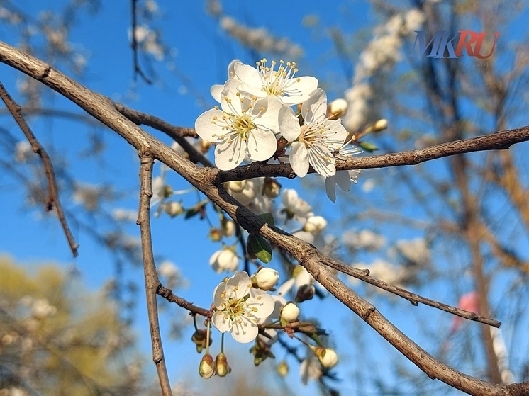 Калужский регион продолжает бить температурные рекорды