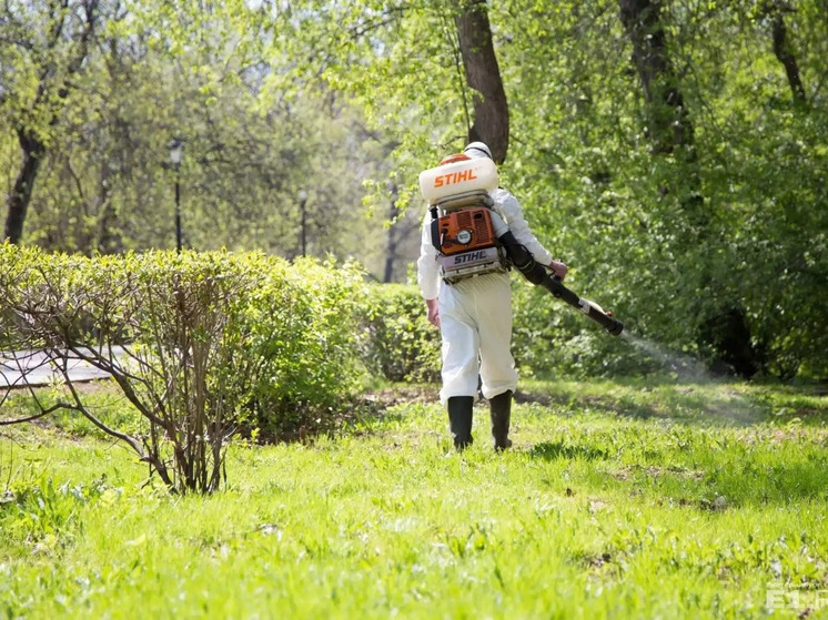 Смоленские парки обработают от клещей