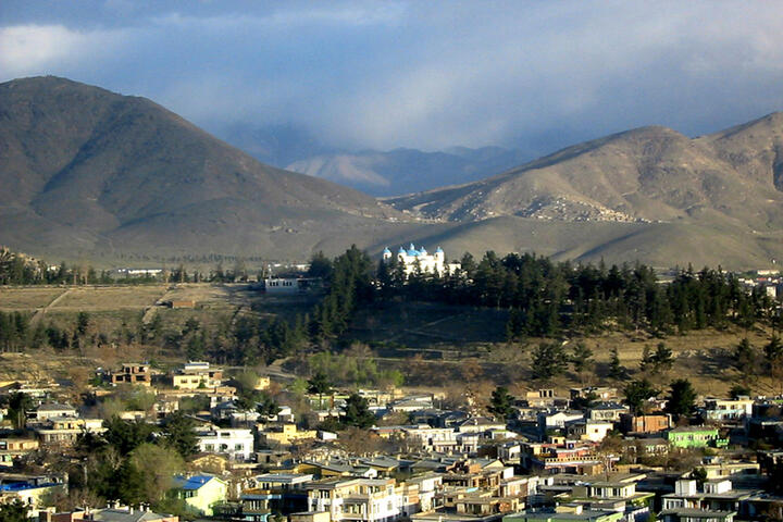 Фото: ru.wikipedia.org 