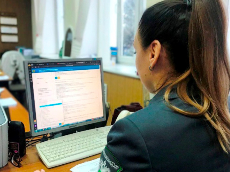 Калужским ветеринарам предлагали препараты с нелегальных сайтов