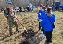 Ветераны специальной военной операции, их родственники, а также сотрудники новгородского филиала фонда «Защитники Отечества» стали участниками Международной акции «Сад памяти», сообщили в новгородском филиале фонда «Защитники Отечества»