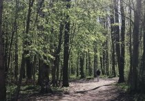 Каждый человек время от времени испытывает негативные эмоции