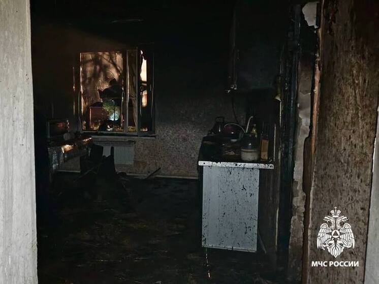 В Будённовском округе хозяйка дома и её дети чудом спаслись при пожаре