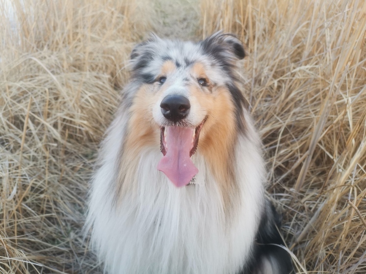 Стало известно, какая погода будет в Приморье во вторник, 22 апреля