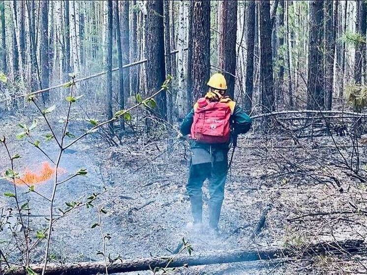В Бурятии тушат 11 лесных пожаров