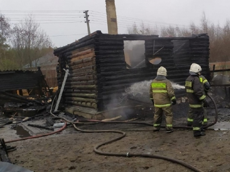 Хозяйка сгоревших собак пострадала в результате пожара в Карелии