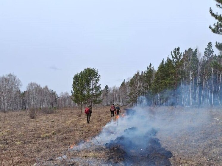 В 28 лесничествах Иркутской области открыт пожароопасный сезон