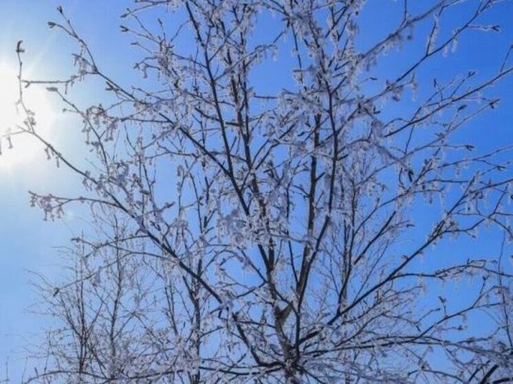 До +5 прогреется воздух в округе во вторник днем