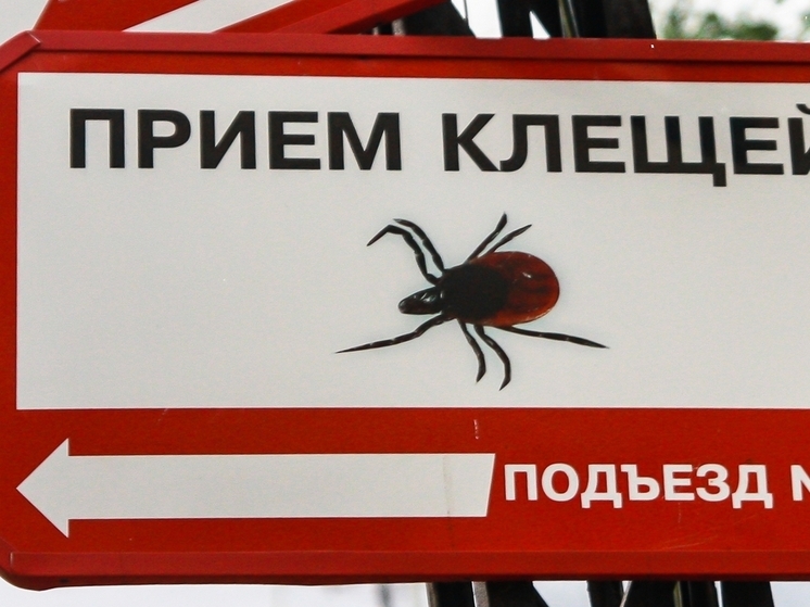 В Карелии зафиксирован еще один случай укуса клеща у ребенка