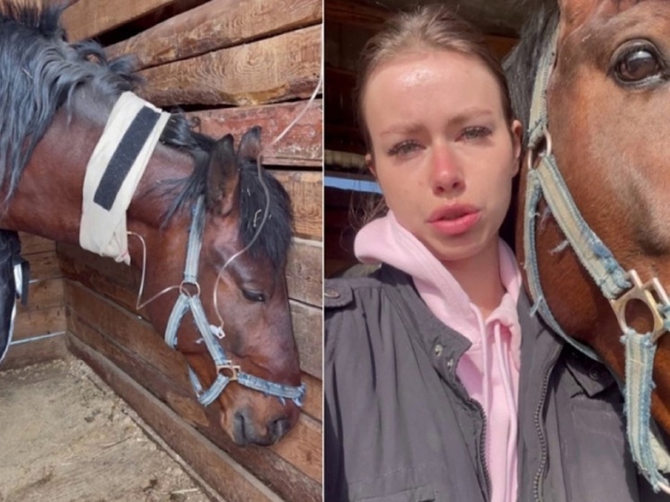 Умер второй отравленный под Волгоградом конь