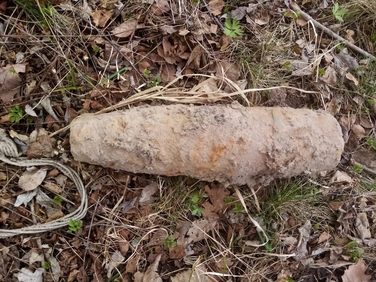 В Смоленске обезвредили артиллерийский снаряд времен войны