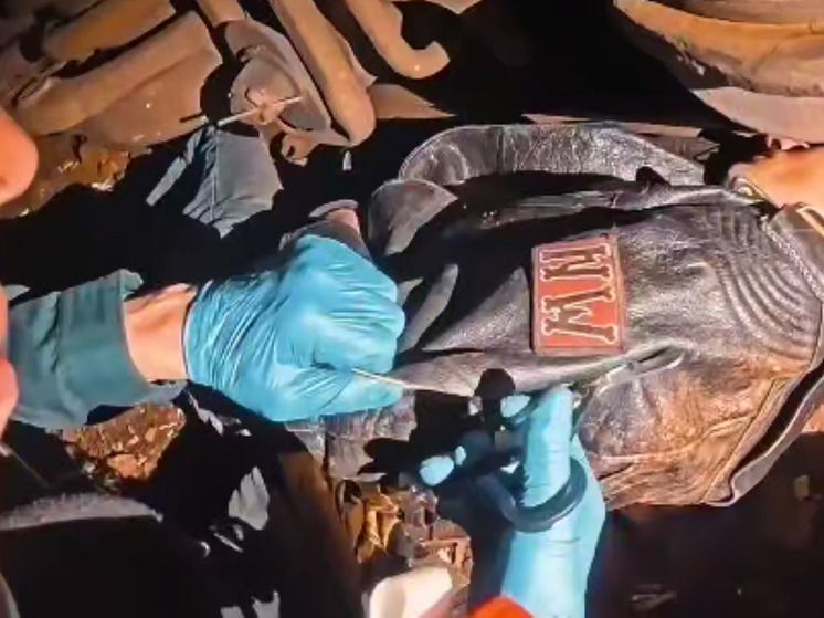 Пожарные спасли мужчину, попавшего под поезд в Домодедово