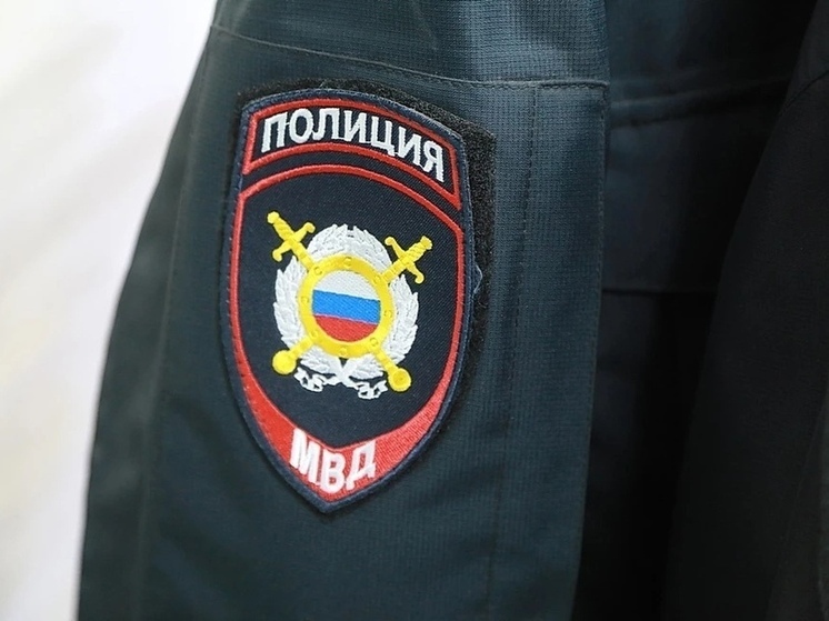 В Муроме друзья вынесли из чужого гаража имущества на 200 000 рублей